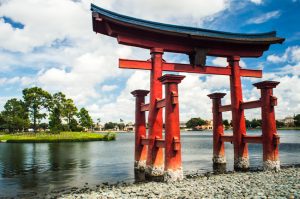 Five reasons why you should book a a trip and visit WDW in the Spring! Experience all the special events that Disney World offers from January to June.