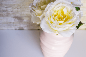 Have you ever suffered from the dreaded photography burnout? Are you suffering now and don't know how to get out of it? Today I'm sharing four tips to get that lovin' feeling back when you pick up your camera!