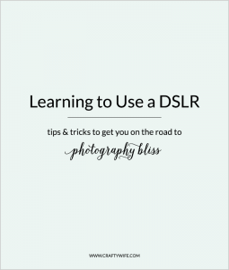 Ever wonder what to do after you buy a camera? Get on the road to photography bliss with these five tips on how to get started learning to use a DSLR.