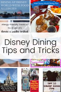 Find every tip and trick you'll need to plan your perfect Disney vacation with the tips and tricks in this HUGE Disney travel roundup post!