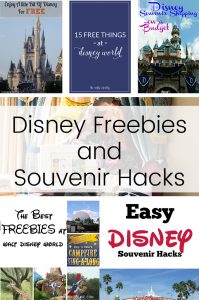 Find every tip and trick you'll need to plan your perfect Disney vacation with the tips and tricks in this HUGE Disney travel roundup post!