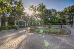 Learn how to take beautiful sunburst photos with a few simple steps! Find out what photography equipment I use and the camera settings over on the blog!