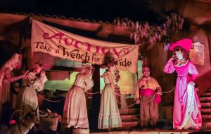 Disneyland | Disney Park Tips | Rides That Are Better at Disneyland | Disneyland Attractions | Disneyland Tips | California Travel Tips