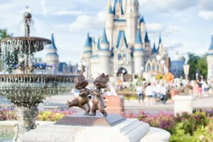 Visit Disney World in 2017 | Disney World | Disney Travel | Disney Vacation Tips | Vacation Planning | Orlando Travel | Disney on a Budget