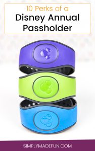 Disney Annual Passholder | Disney Vacation | Disney Travel | Travel Tips | Disney on a Budget | Money Saving Tips | Save Money at Disney