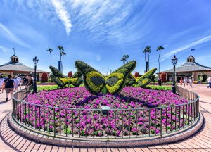 Disney Annual Passholder | Disney Vacation | Disney Travel | Travel Tips | Disney on a Budget | Money Saving Tips | Save Money at Disney