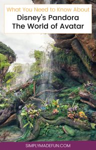 Disney's Pandora the World of Avatar | Disney World | Disney Travel | Disney Travel Tips | Disney Vacation Tips | Disney's Pandora | Disney World | Disney World Reviews