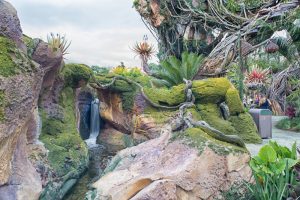 Disney's Pandora the World of Avatar | Disney World | Disney Travel | Disney Travel Tips | Disney Vacation Tips | Disney's Pandora | Disney World | Disney World Reviews