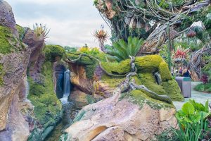 Disney's Pandora the World of Avatar | Disney World | Disney Travel | Disney Travel Tips | Disney Vacation Tips | Disney's Pandora | Disney World | Disney World Reviews