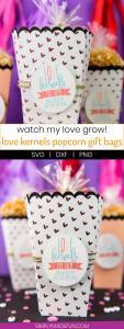 Valentine Popcorn Gift Bags - After Christmas I'm all candied out, so I tend to snack on popcorn instead. We typically don't pop our own but I couldn't resist trying it just so I could make these Crazy Ex Girlfriend inspired popcorn gift bags!