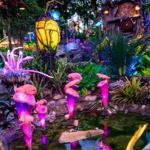 Skip Long Lines at Disney's Pandora - If you're sick of refreshing the Fastpass+ page and praying that Fastpasses for Pandora will magically appear, you're not alone! If you're sick of waiting for them to just show up on the My Disney Experience App but want to go on the ride anyway, there are a few ways you can skip the long lines at Pandora but still go on the ride!