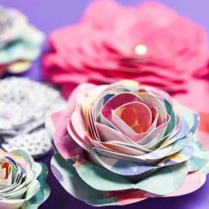 3D Paper Flowers - Sometimes it seems like all I do with my Silhouette Machine are crafts with vinyl. But I'm starting to make myself use paper more because it's easy and cheap! Like these 3D paper flowers, they're a quick craft to do on a rainy day and there are so many different kinds to make!