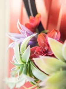 Use fake plants to make a faux succulent wreath for your front door!
